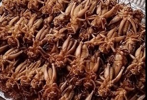 Dế cơm đã sơ chế 