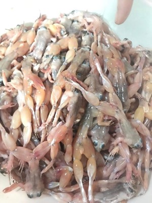 Nhái đã sơ chế