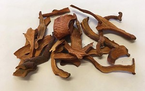 Củ tắc kè đá khô